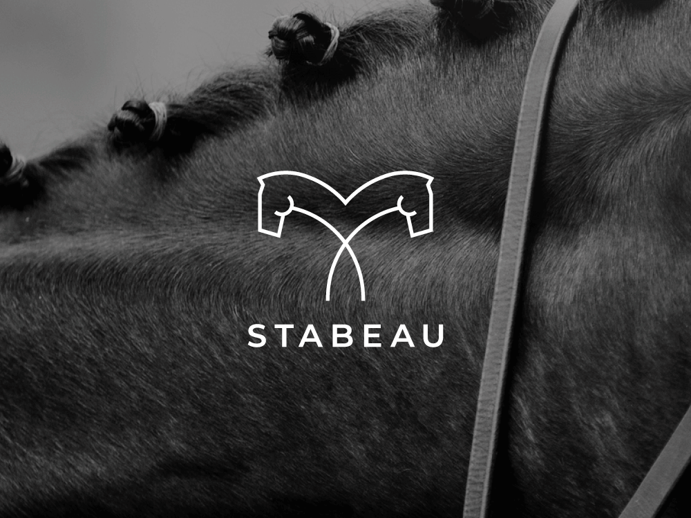 211109 STABEAU Case Portfolio web 01